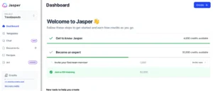 Jasper interface