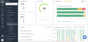 SE-Ranking-interface